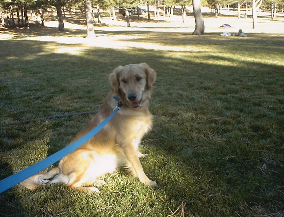 aspen.jpg