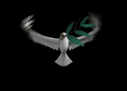dove.jpg