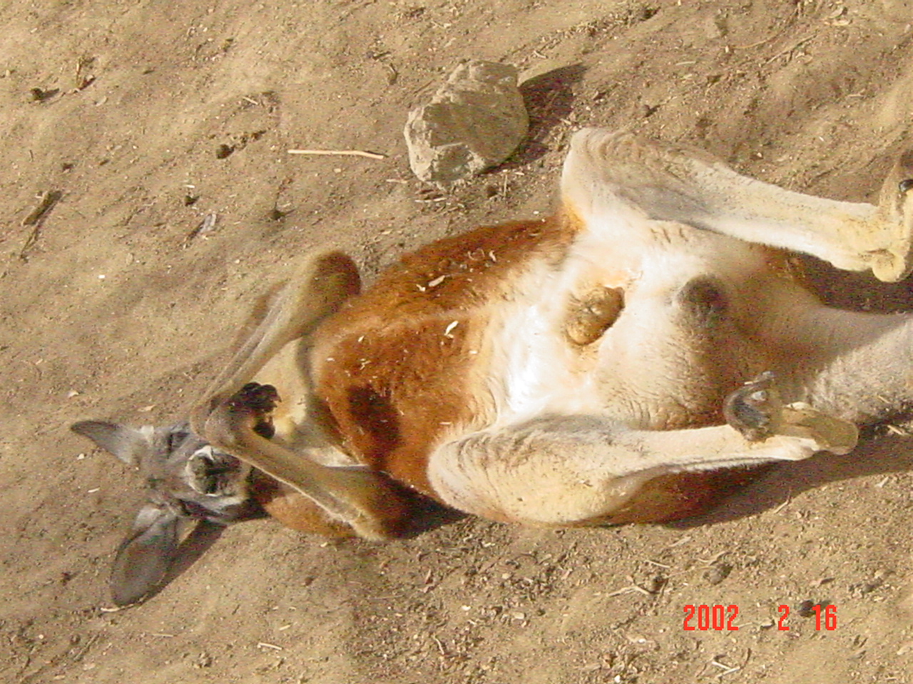 dsc00831.jpg