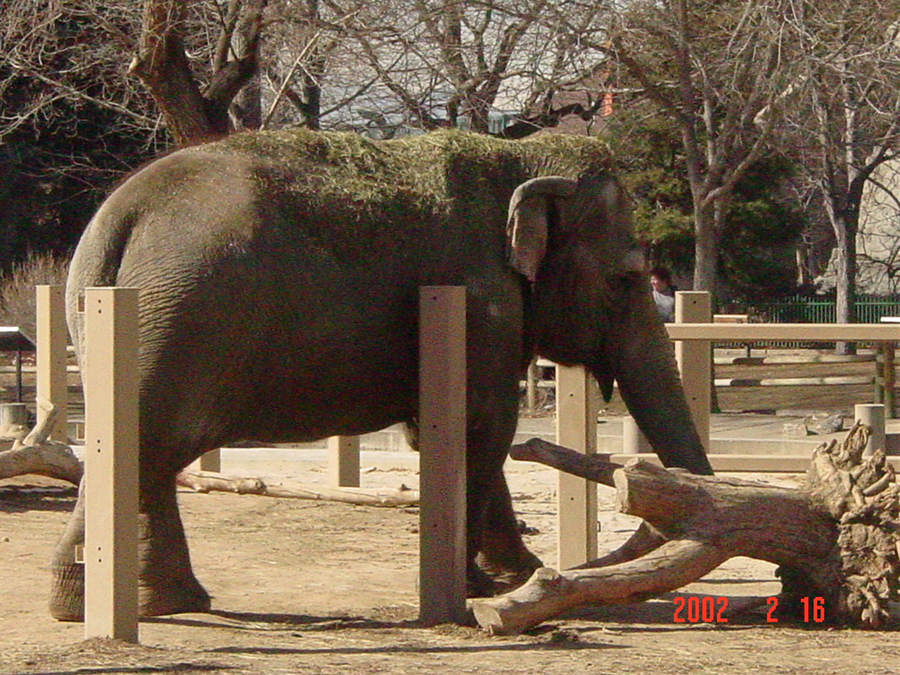 dsc00832.jpg