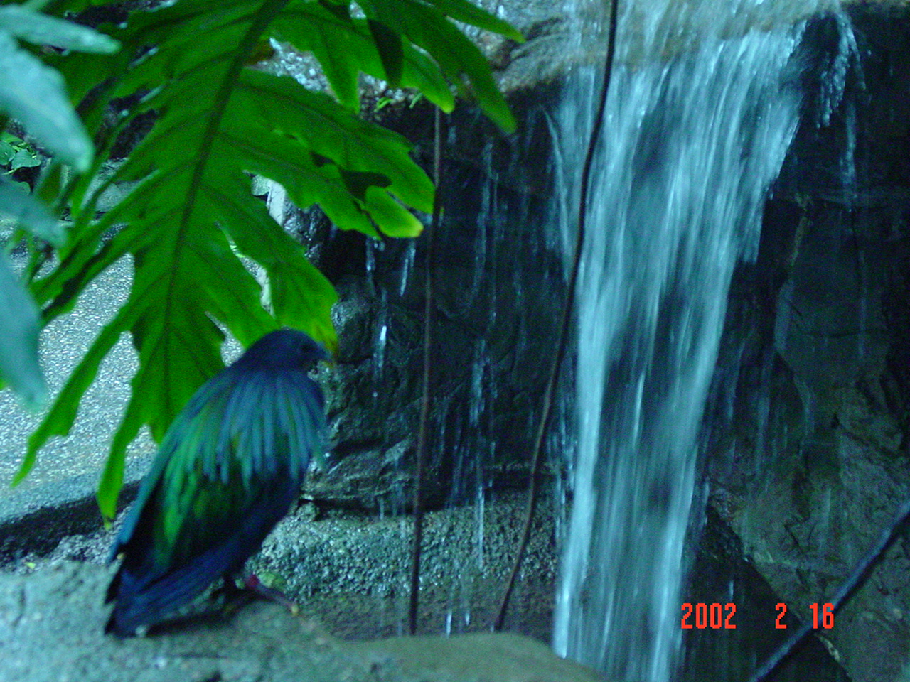 dsc00844.jpg